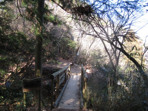 登山道
